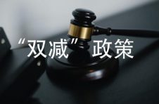 精细抓好落实，更好满足需求！教育部来沪专项调研“双减”工作