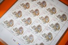虎年邮票在上海发售，有年轻邮迷提前一晚去排队
