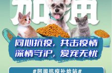 深情守“沪”，爱宠无忧|“阿闻抗疫补给站”为上海地区的宠物生活开启“生命通道”